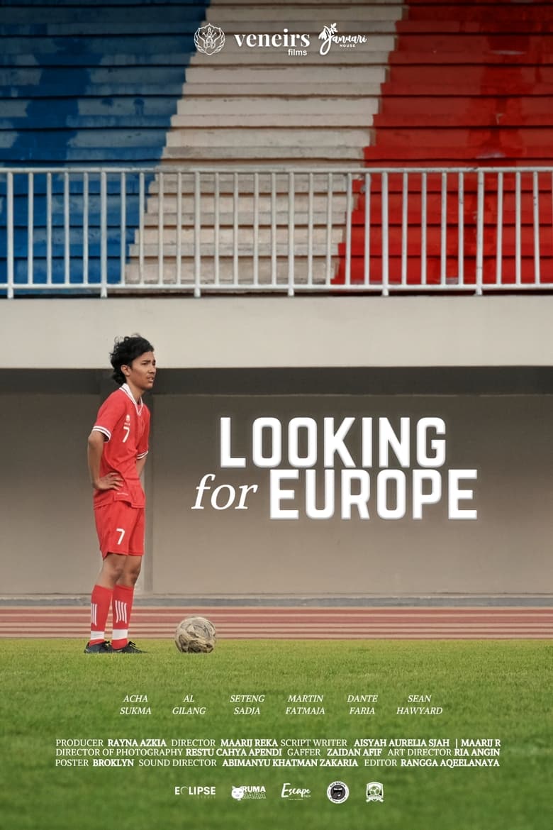 Poster of Looking for Europe