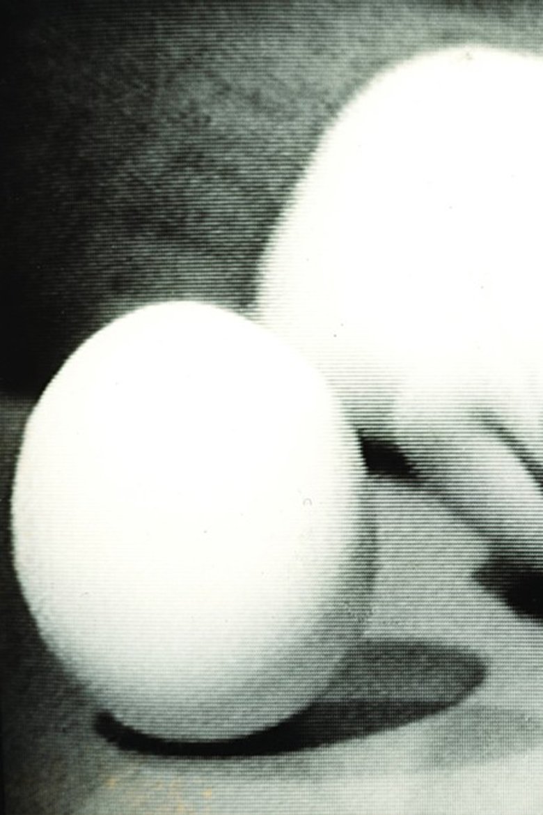 Poster of Statics of an Egg