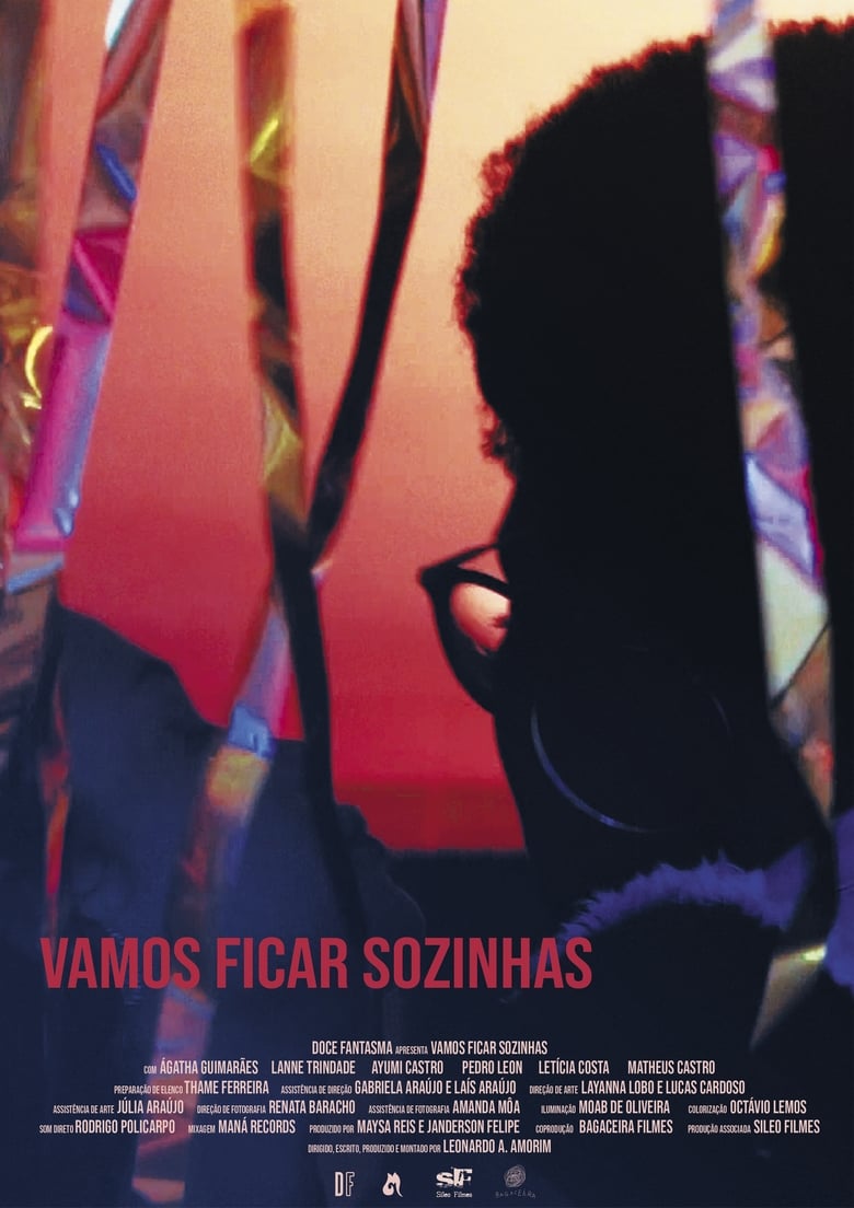 Poster of Vamos Ficar Sozinhas