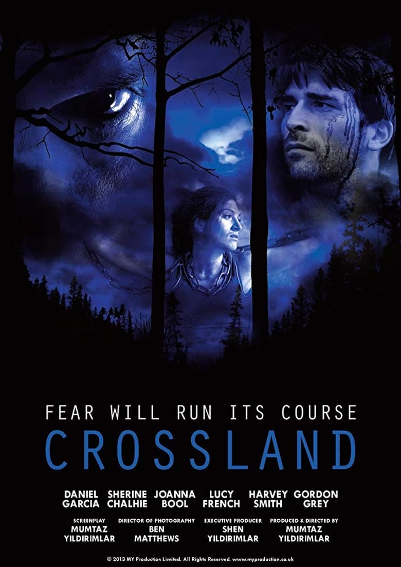 Poster of Crossland