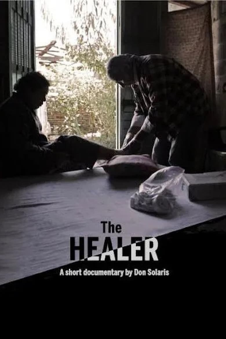 Poster of The Healer