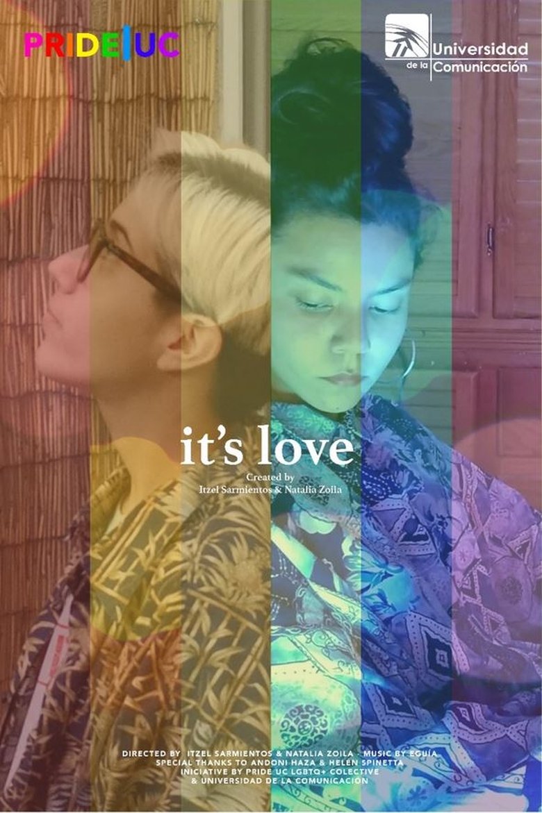 Poster of It's Love