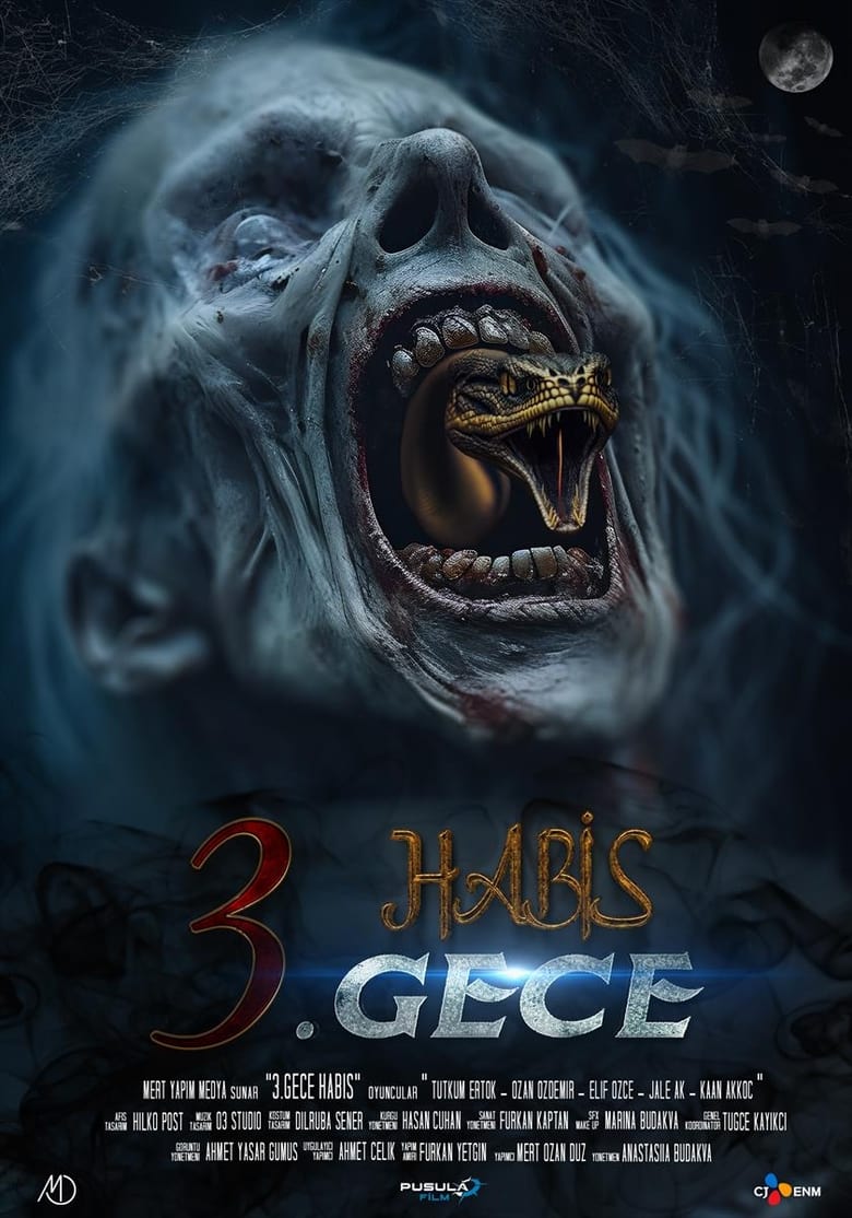 Poster of 3. Gece Habis