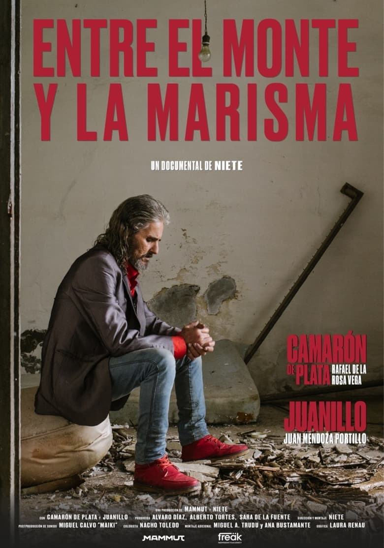 Poster of Entre el monte y la marisma