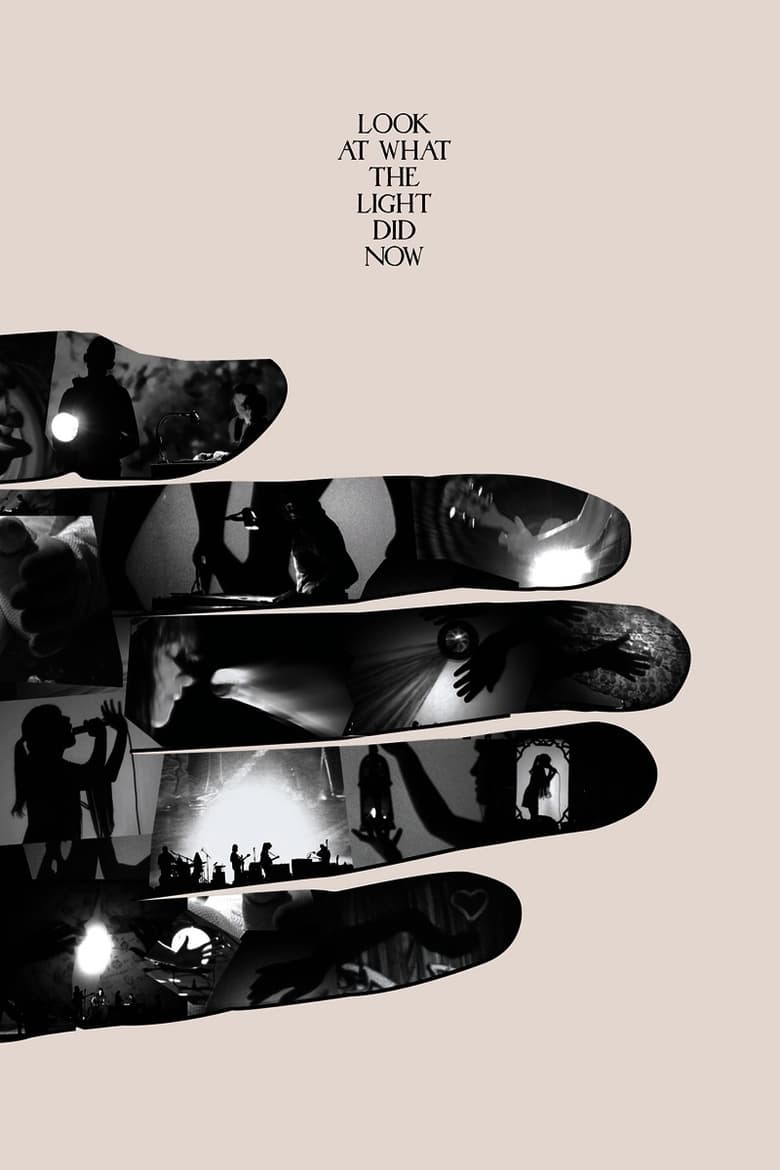 Poster of Look at What the Light Did Now