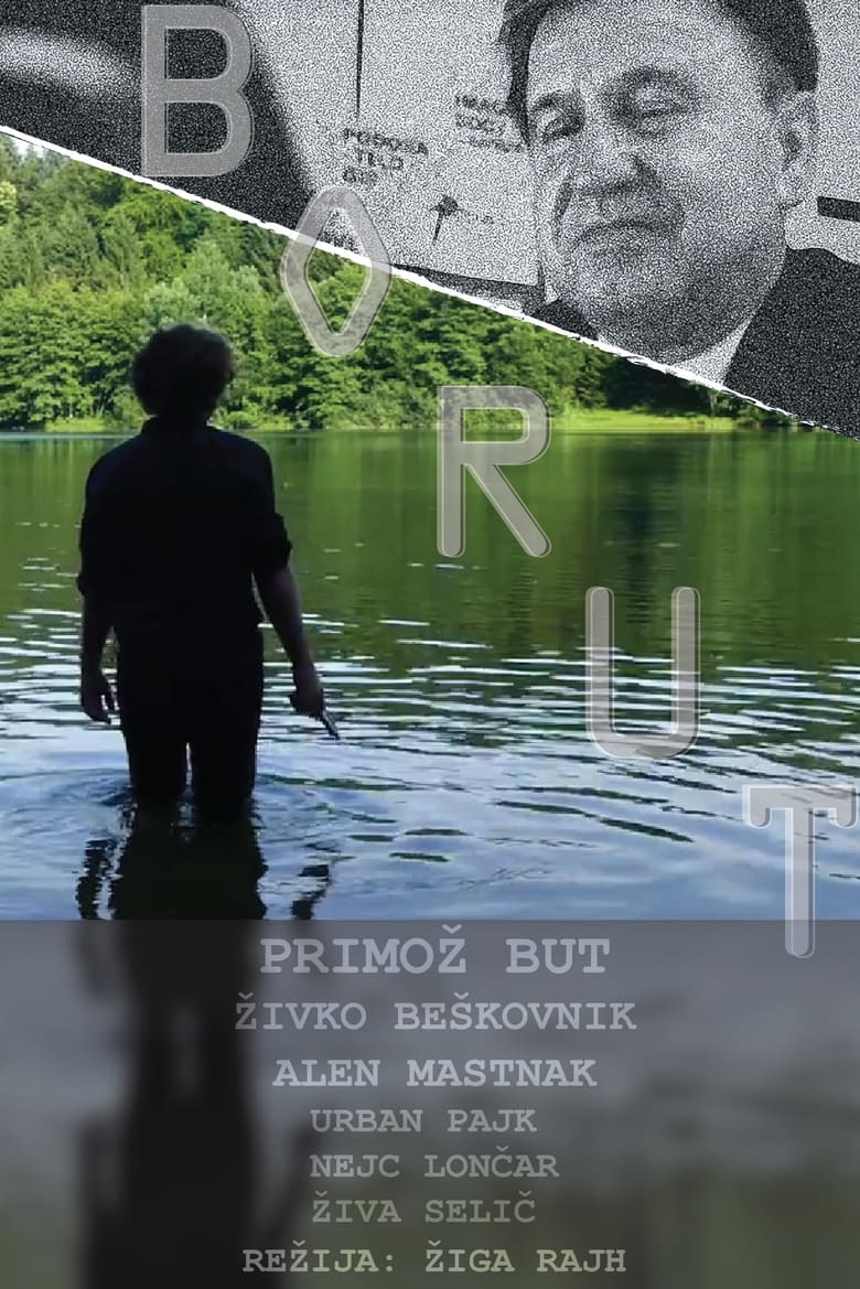 Poster of Borut