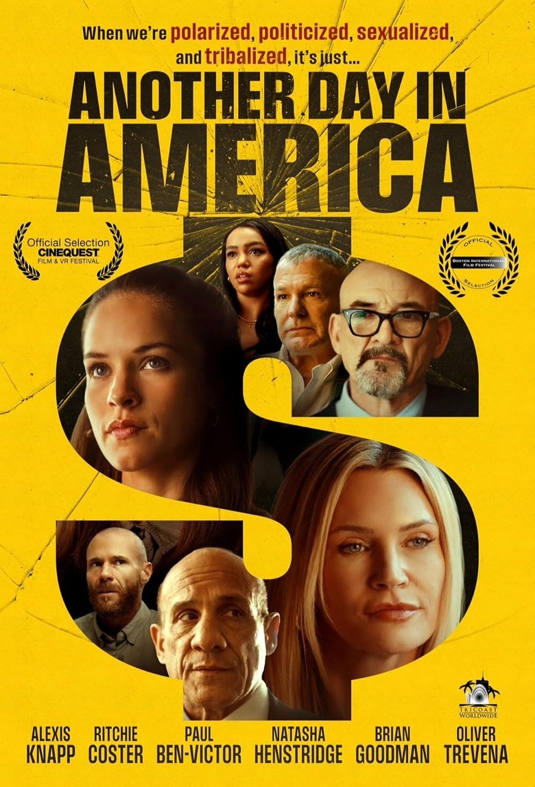 Poster of Another Day in America