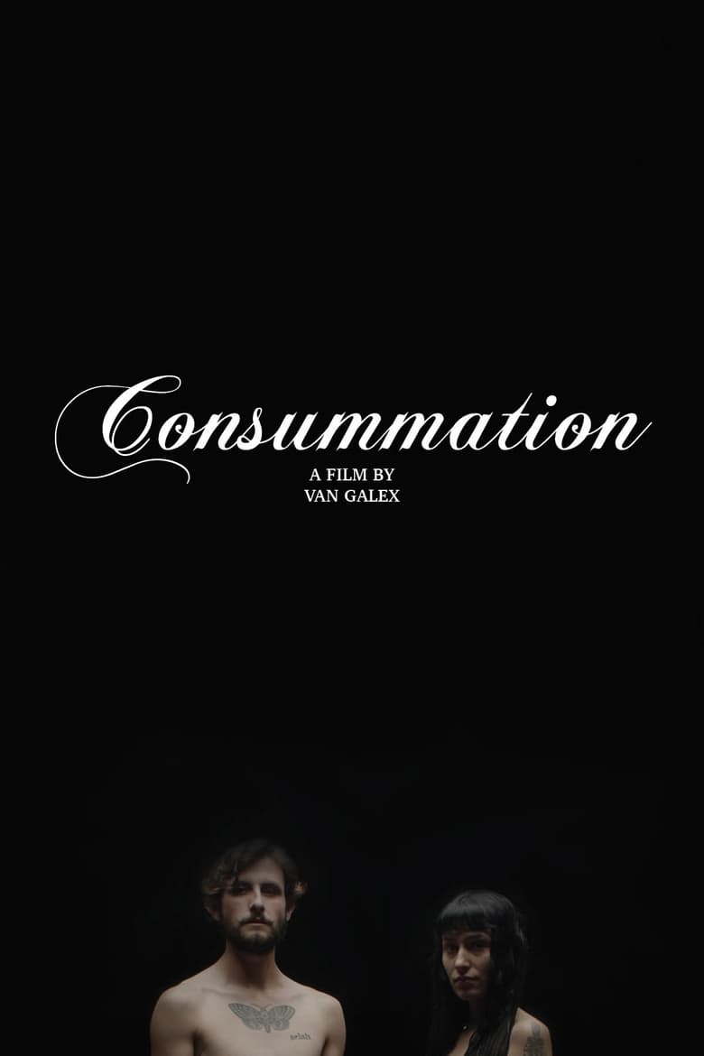 Poster of Consummation