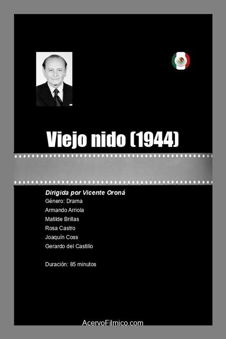 Poster of Viejo nido