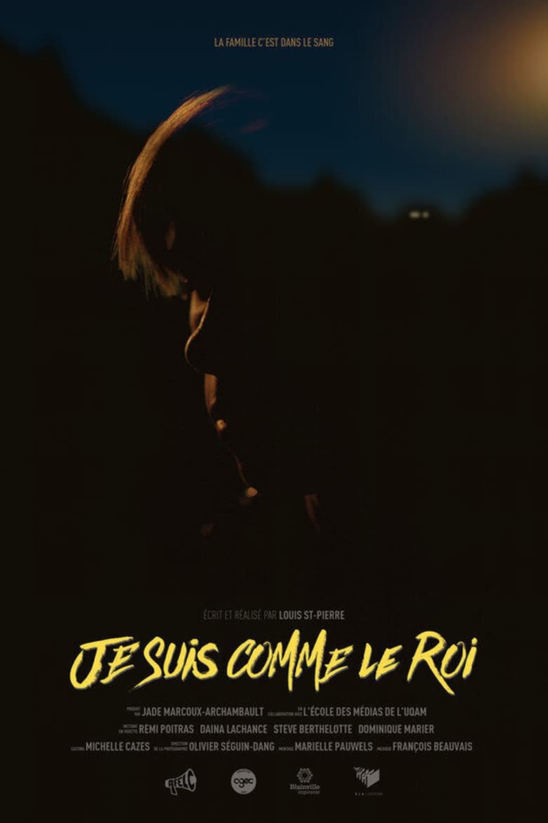 Poster of Je Suis Comme Le Roi