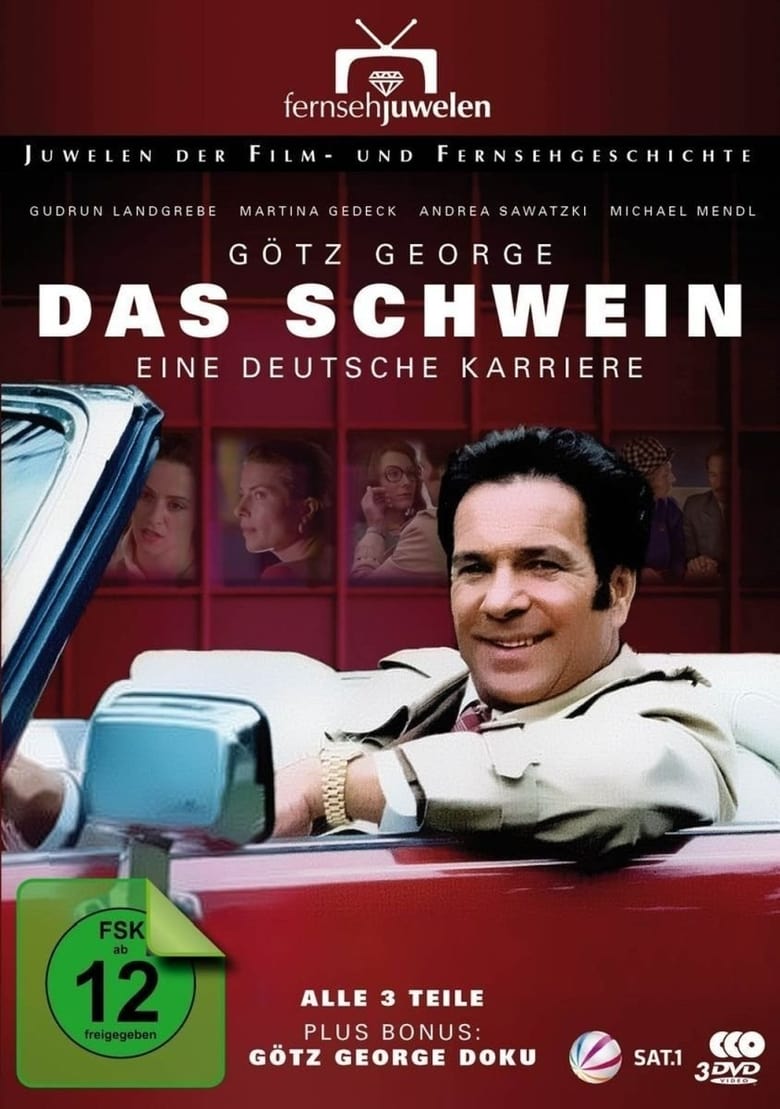 Poster of Das Schwein - Eine deutsche Karriere