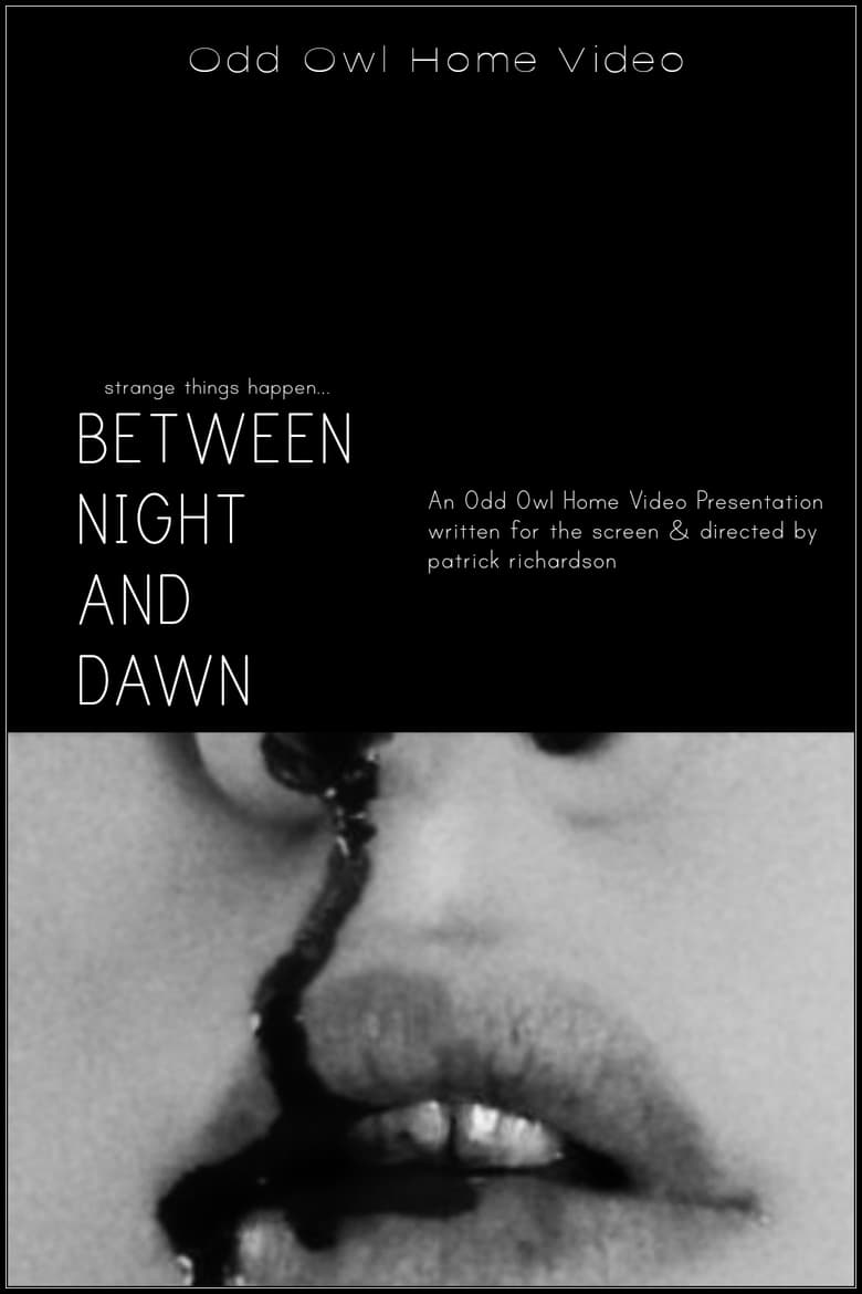 Poster of Between Night And Dawn