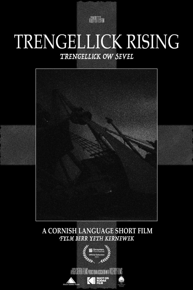 Poster of Trengellick Rising