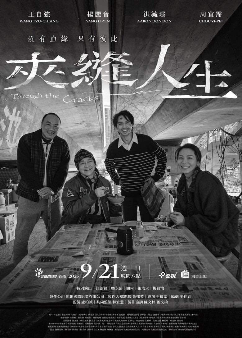 Poster of Through the Cracks