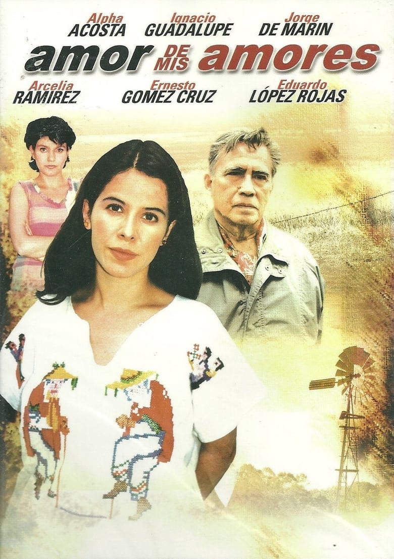 Poster of Amor de mis amores