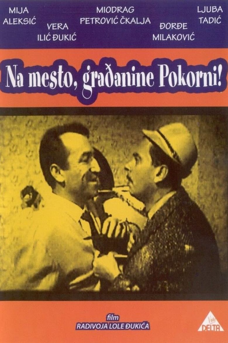 Poster of Citizen Pokorni