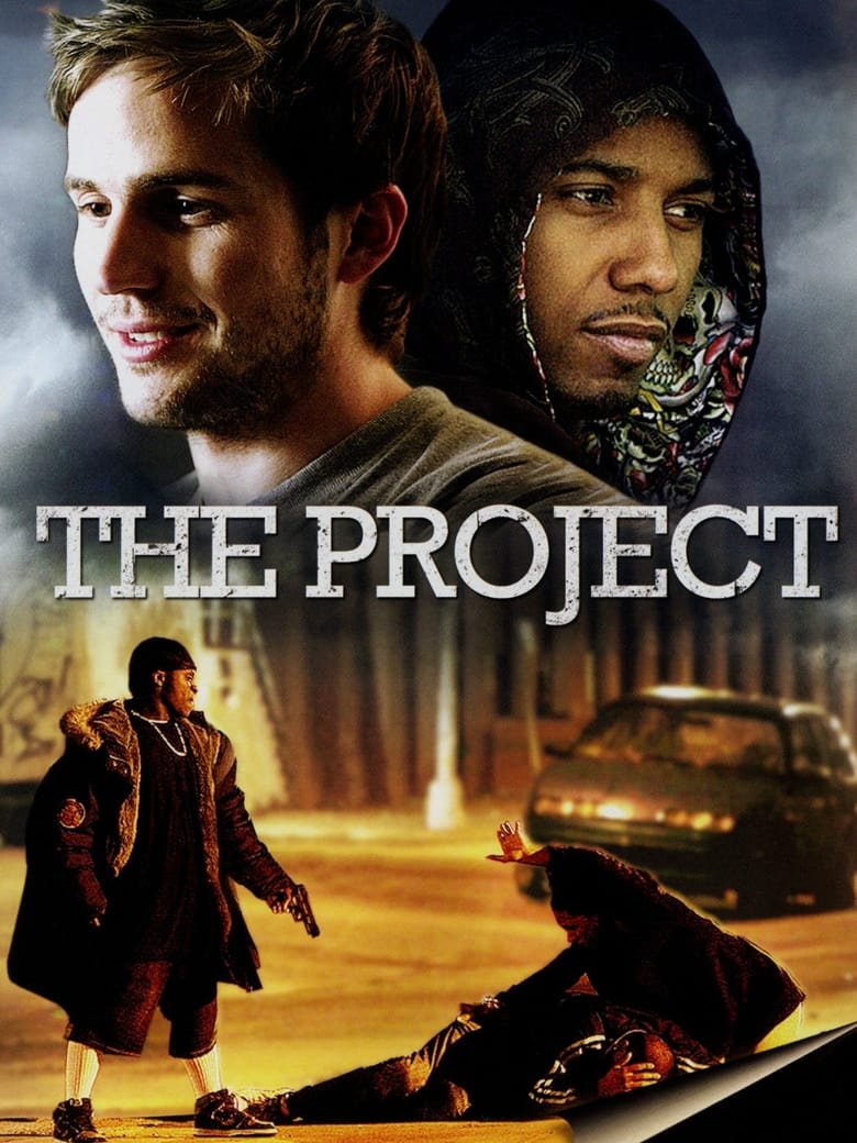 Poster of The Project