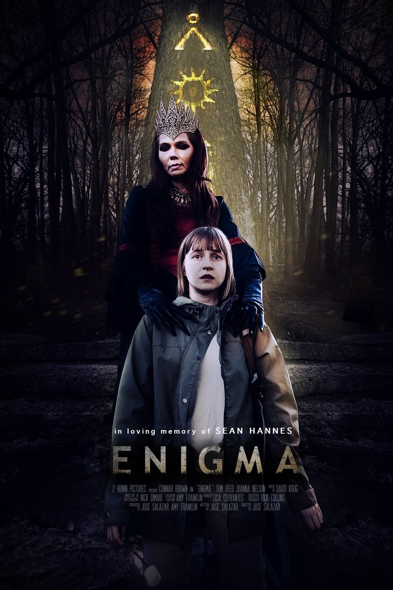 Poster of Enigma