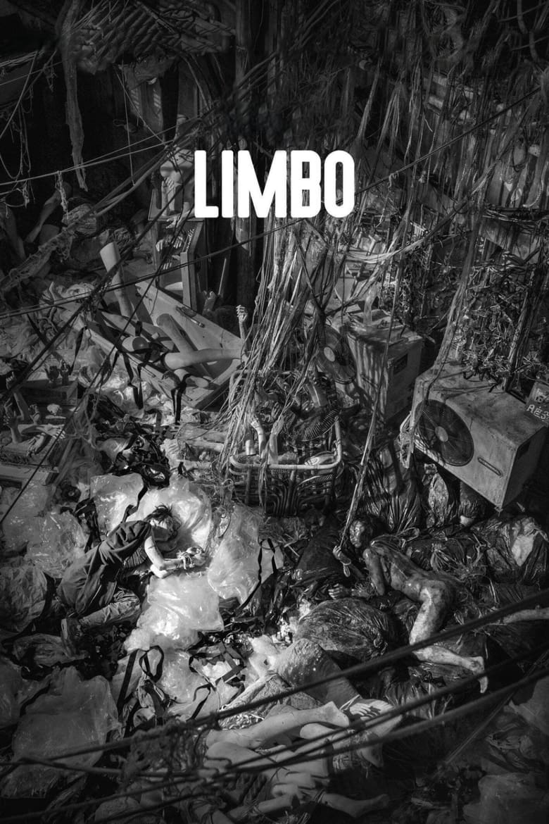 Poster of Limbo