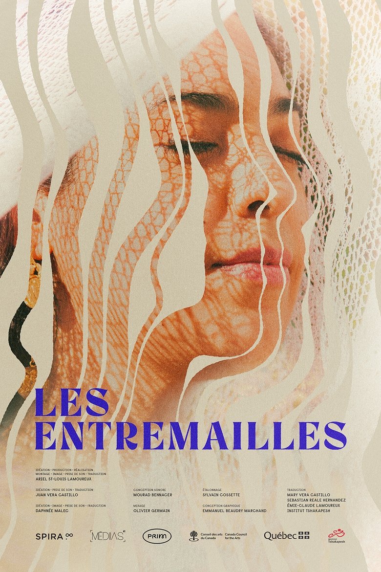 Poster of Les Entremailles