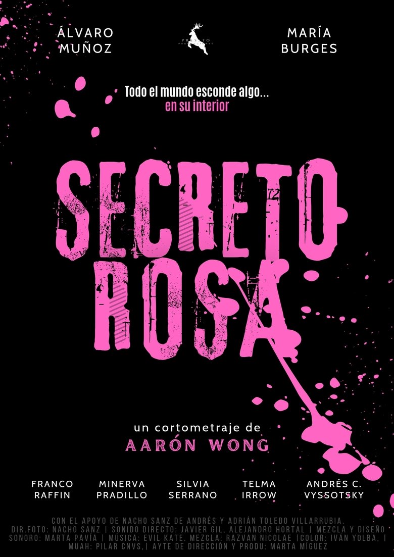 Poster of Secreto Rosa