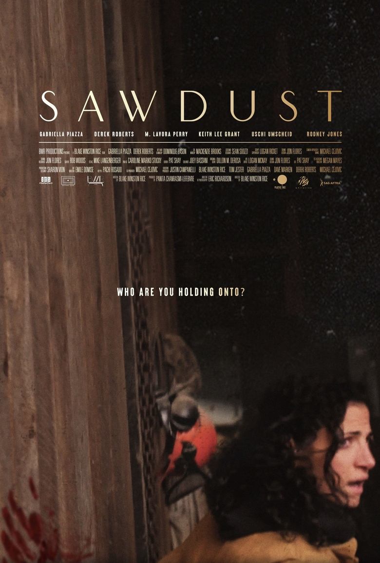 Poster of Sawdust