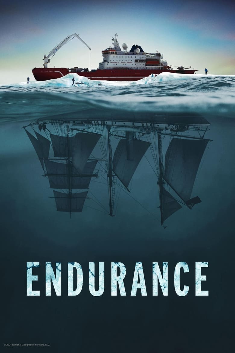 Poster of Endurance