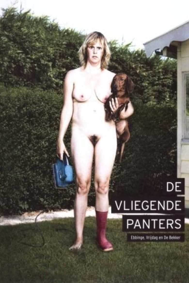 Poster of De Vliegende Panters: Ebbinge, Vrijdag en De Bekker