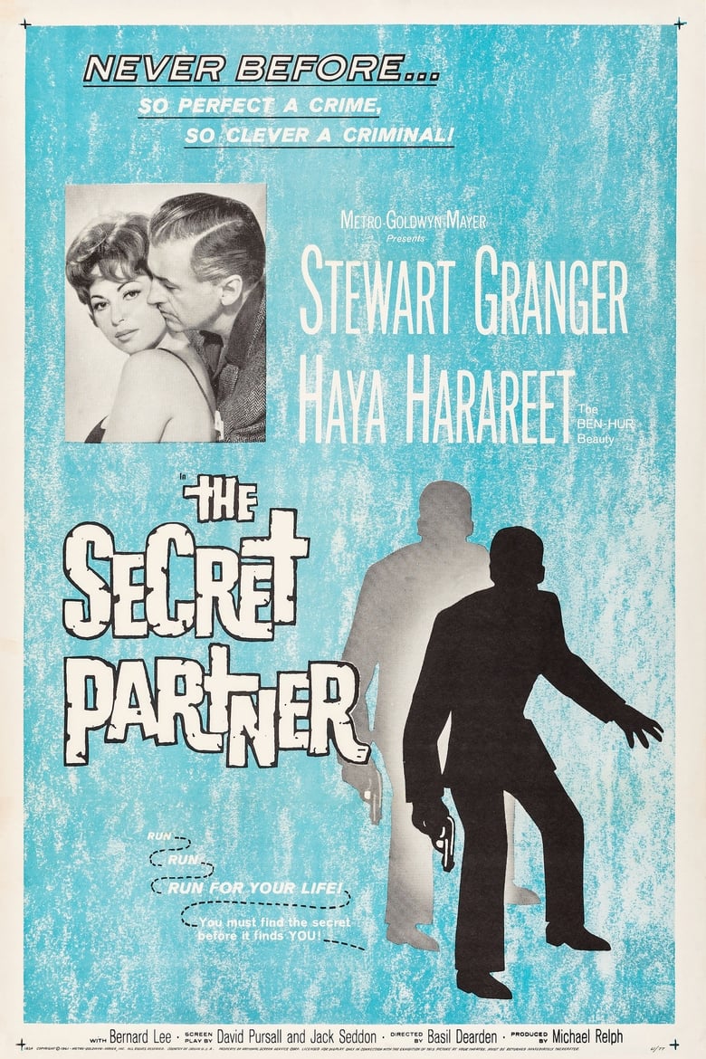 Poster of The Secret Partner