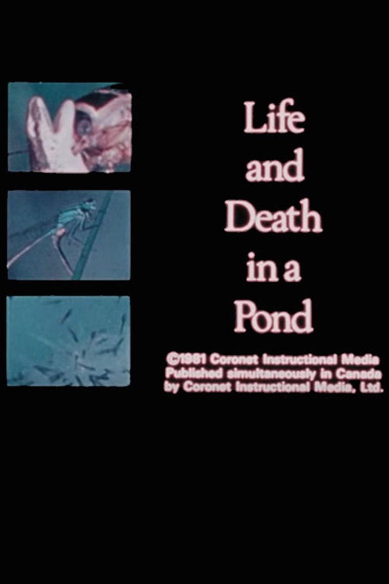 Poster of Life and Death in A Pond