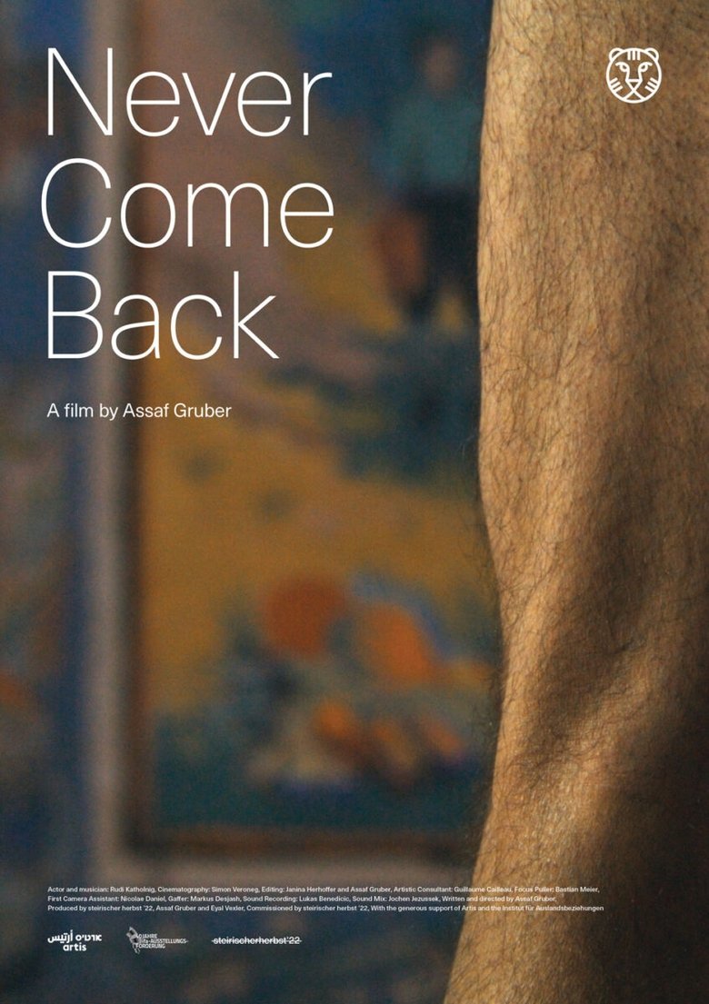 Poster of Never Come Back