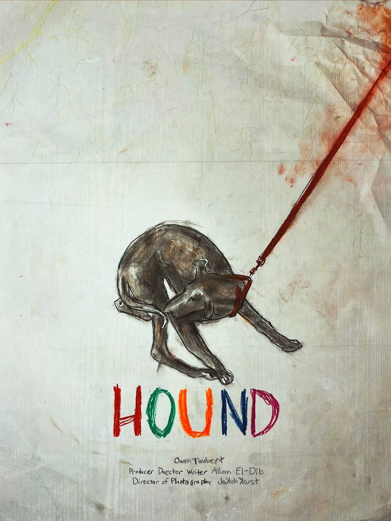 Poster of Hound