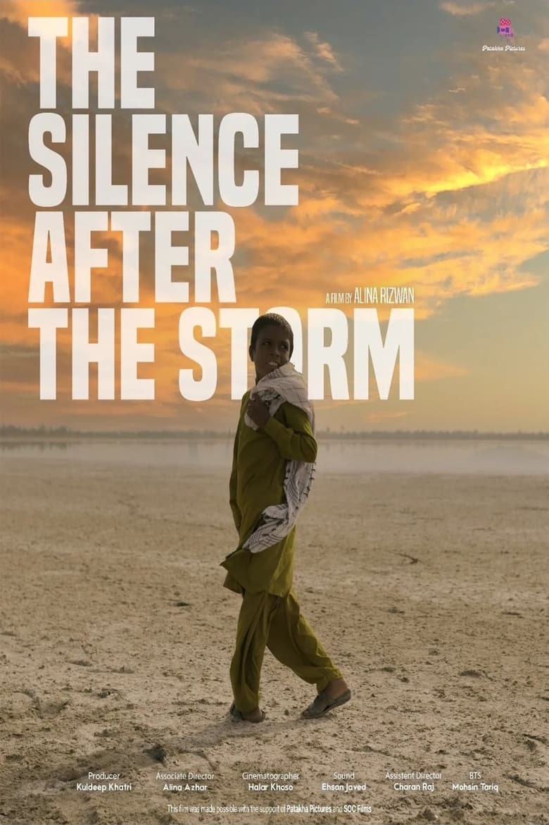 Poster of The Silence After The Storm