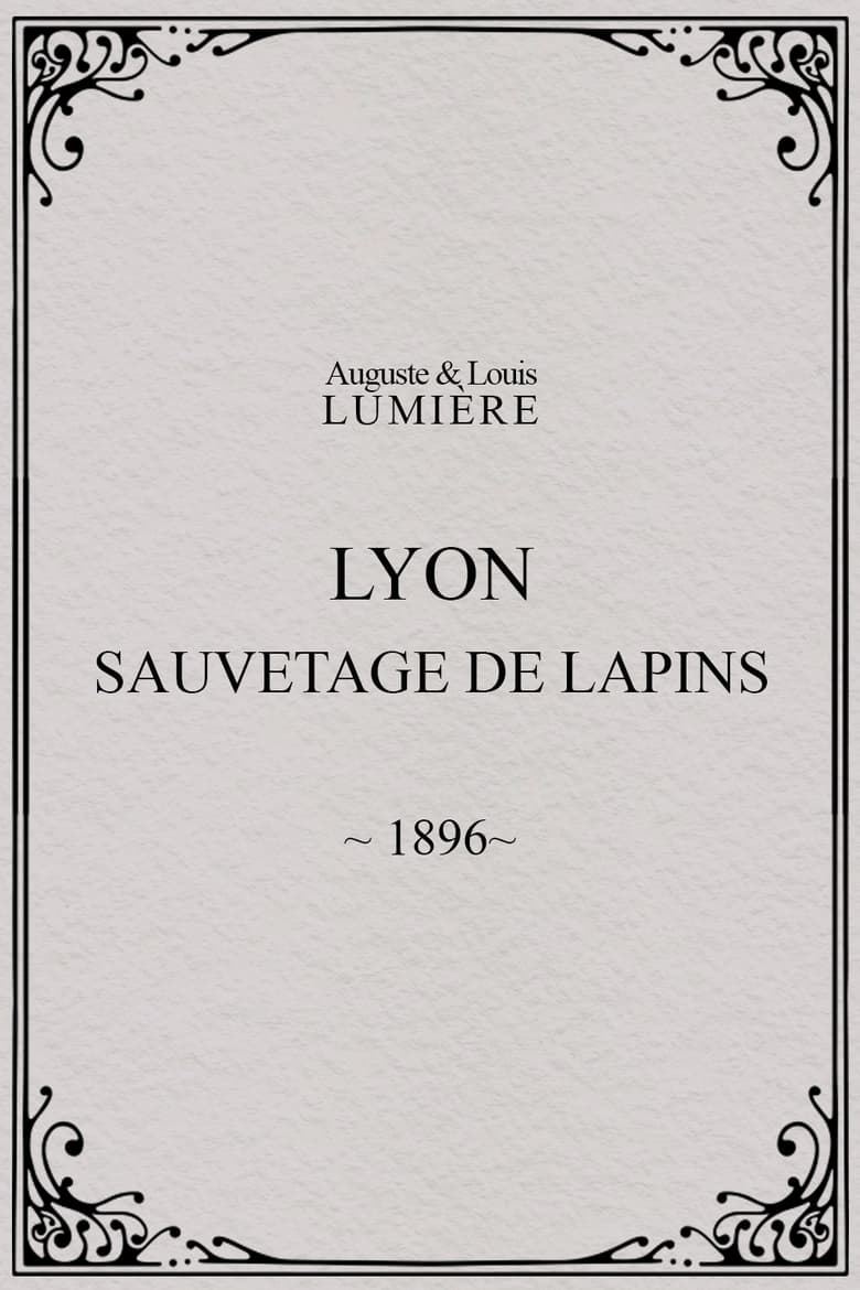 Poster of Lyon : sauvetage de lapins