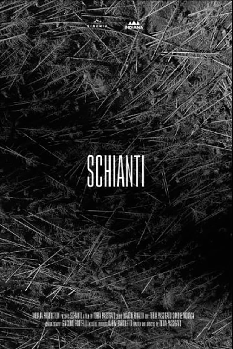 Poster of Schianti