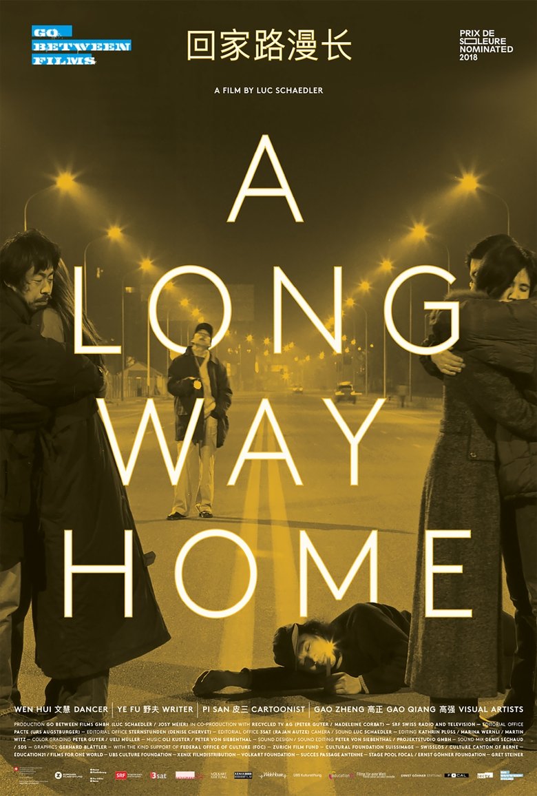 Poster of A Long Way Home