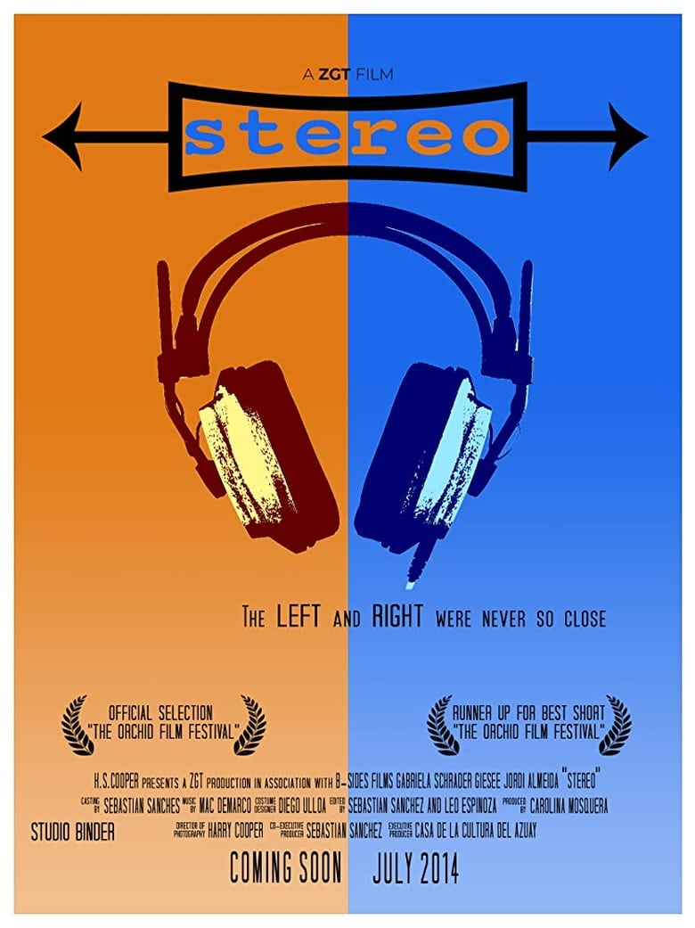 Poster of Stereo