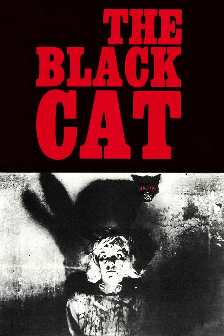 Poster of The Black Cat