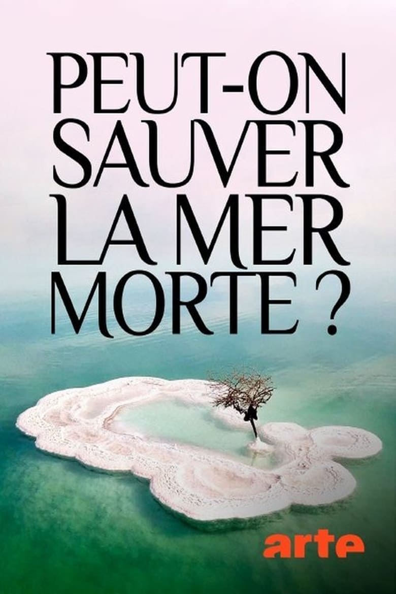 Poster of Peut-on sauver la mer Morte ?