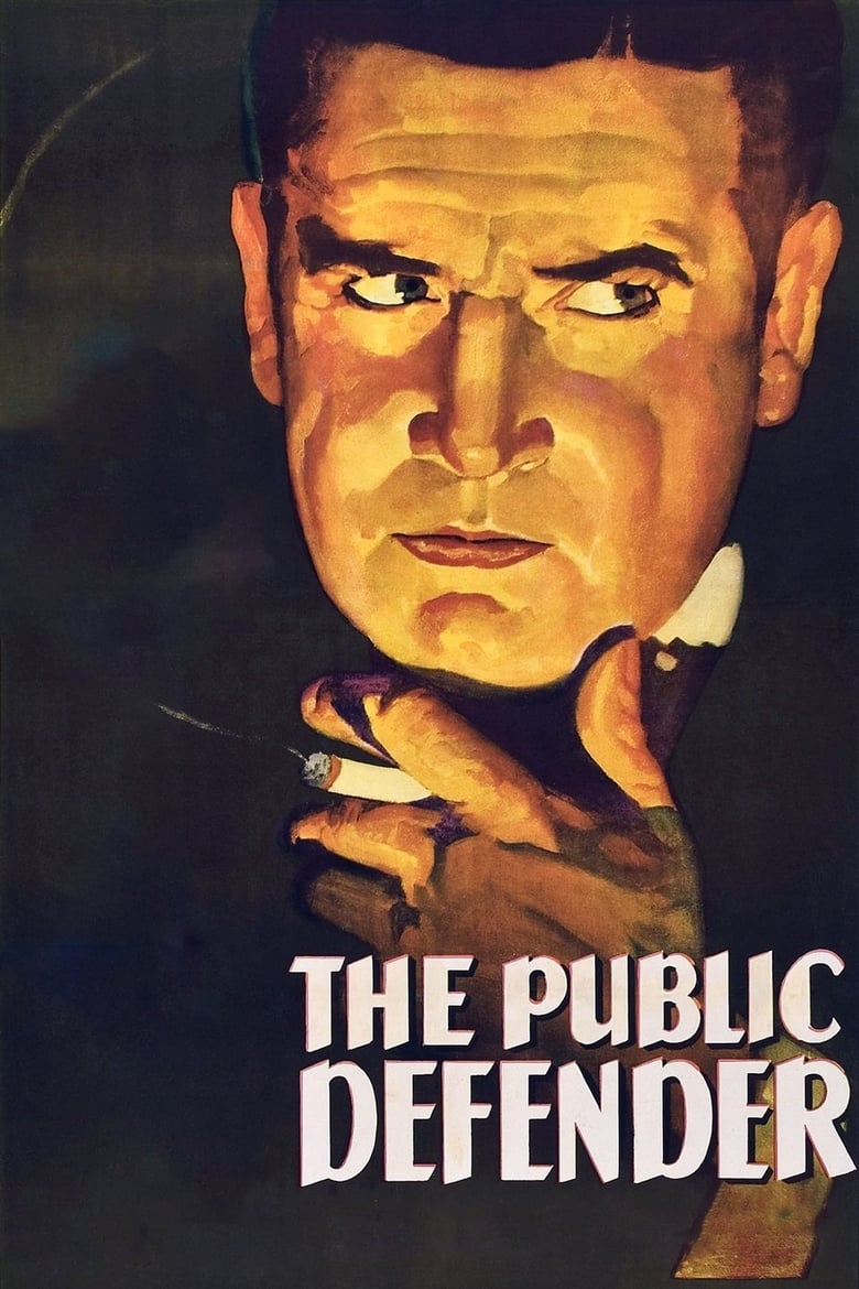 Poster of The Public Defender