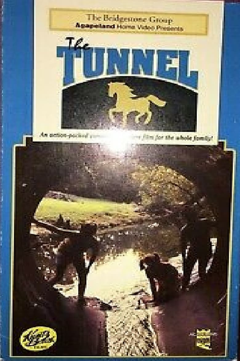 Poster of The Tunnel