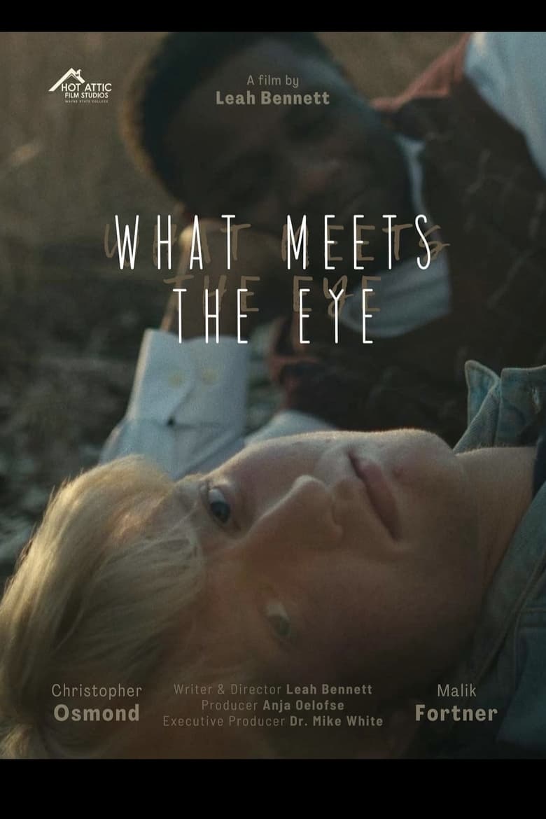 Poster of What Meets The Eye