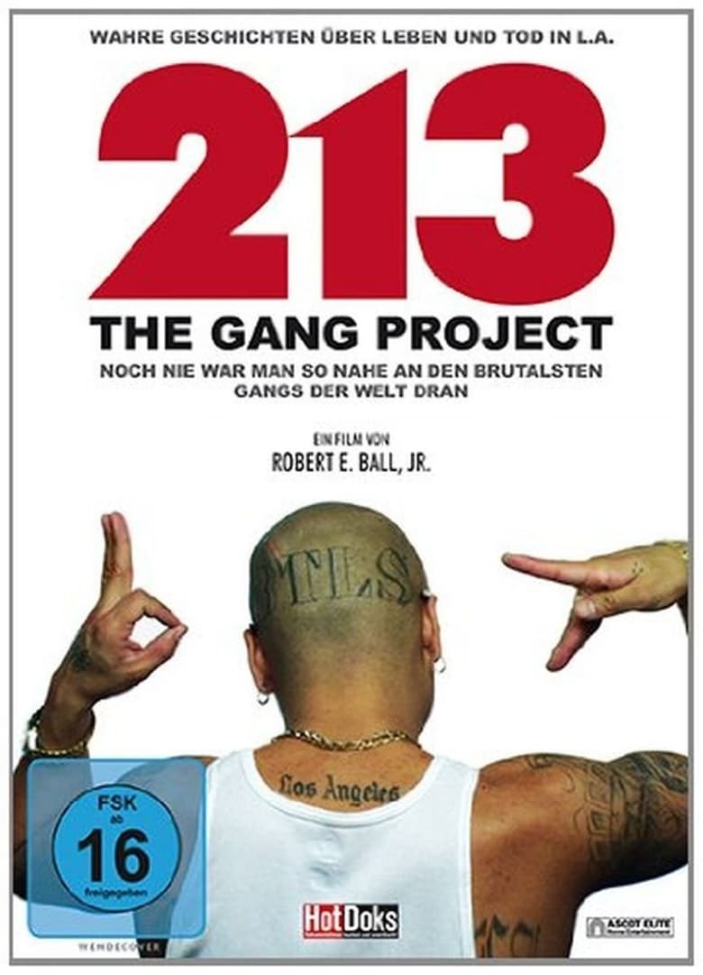 Poster of 213 - The Gang Project