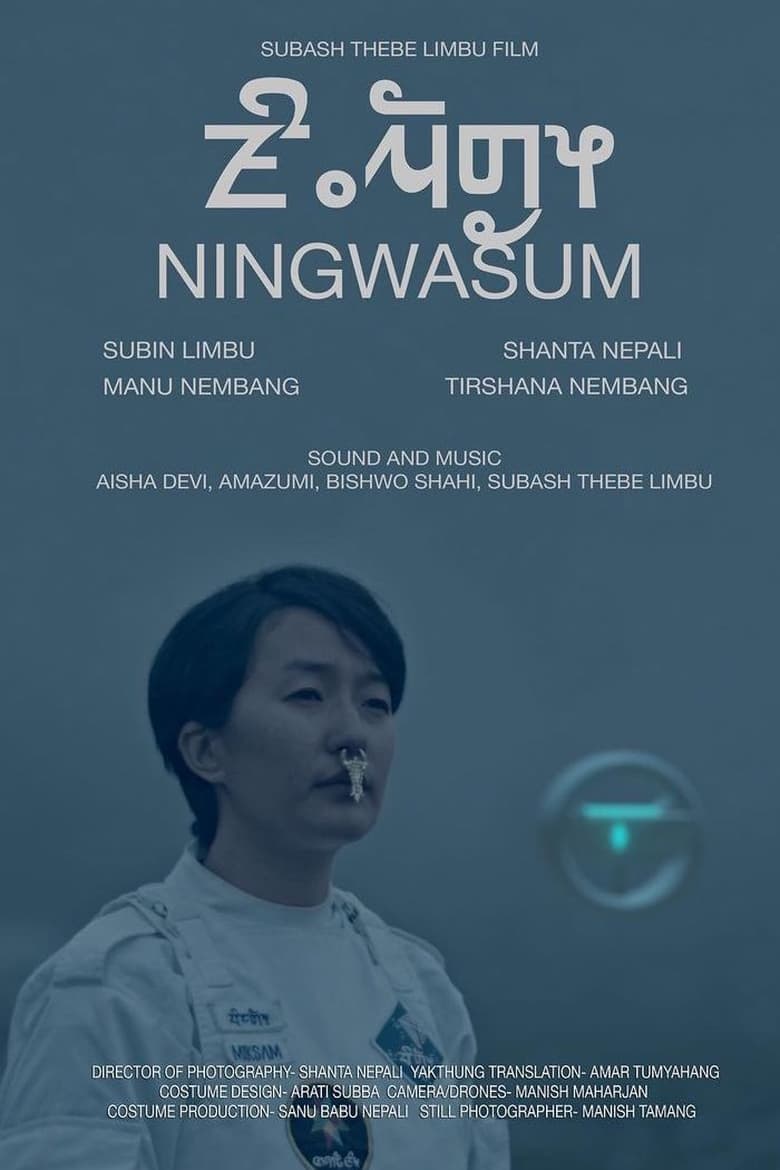 Poster of Ningwasum