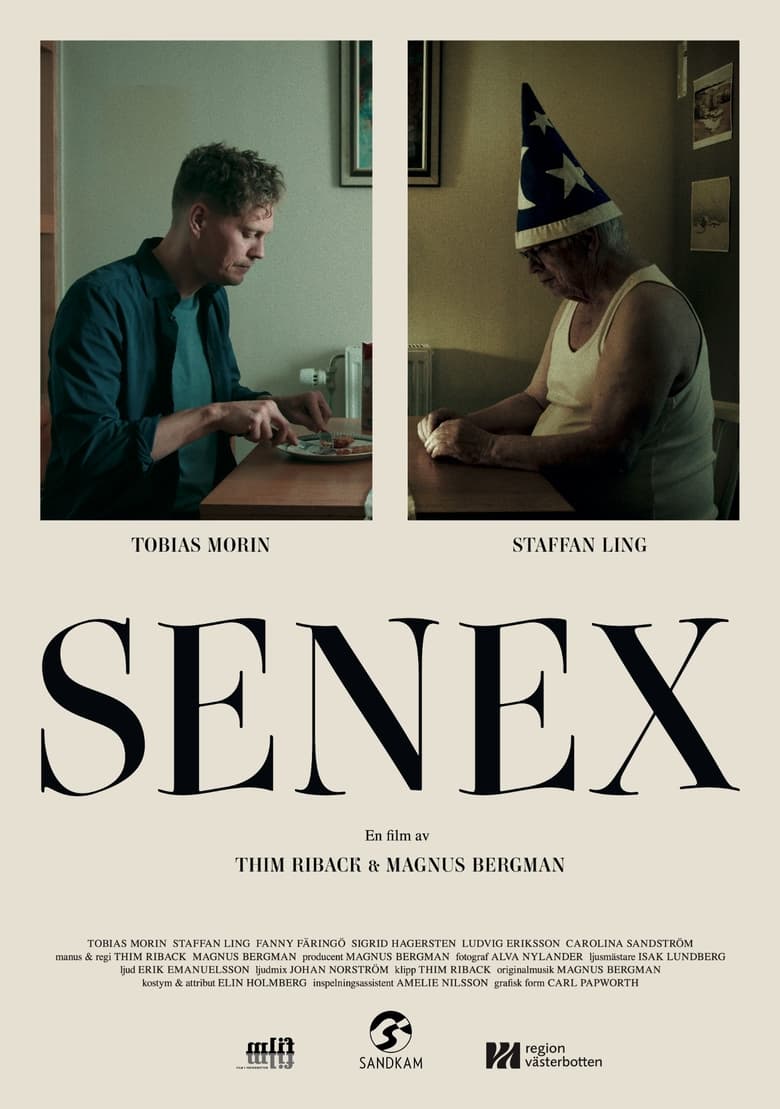 Poster of Senex