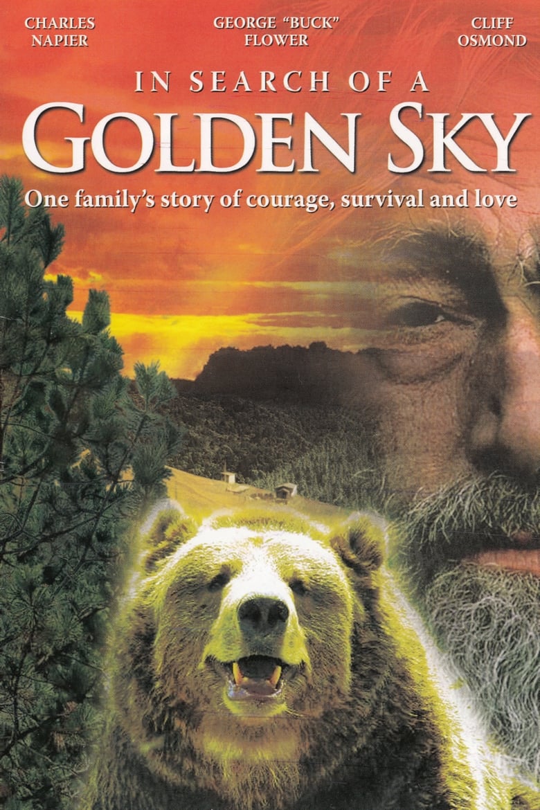 Poster of In Search of a Golden Sky