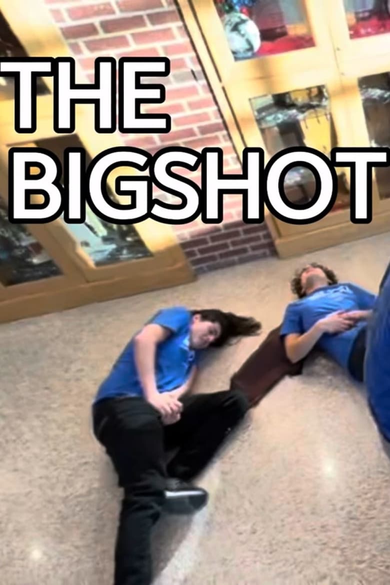 Poster of The Bigshot