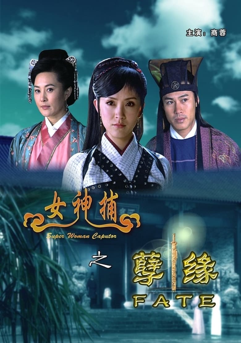 Poster of 女神捕之孽缘