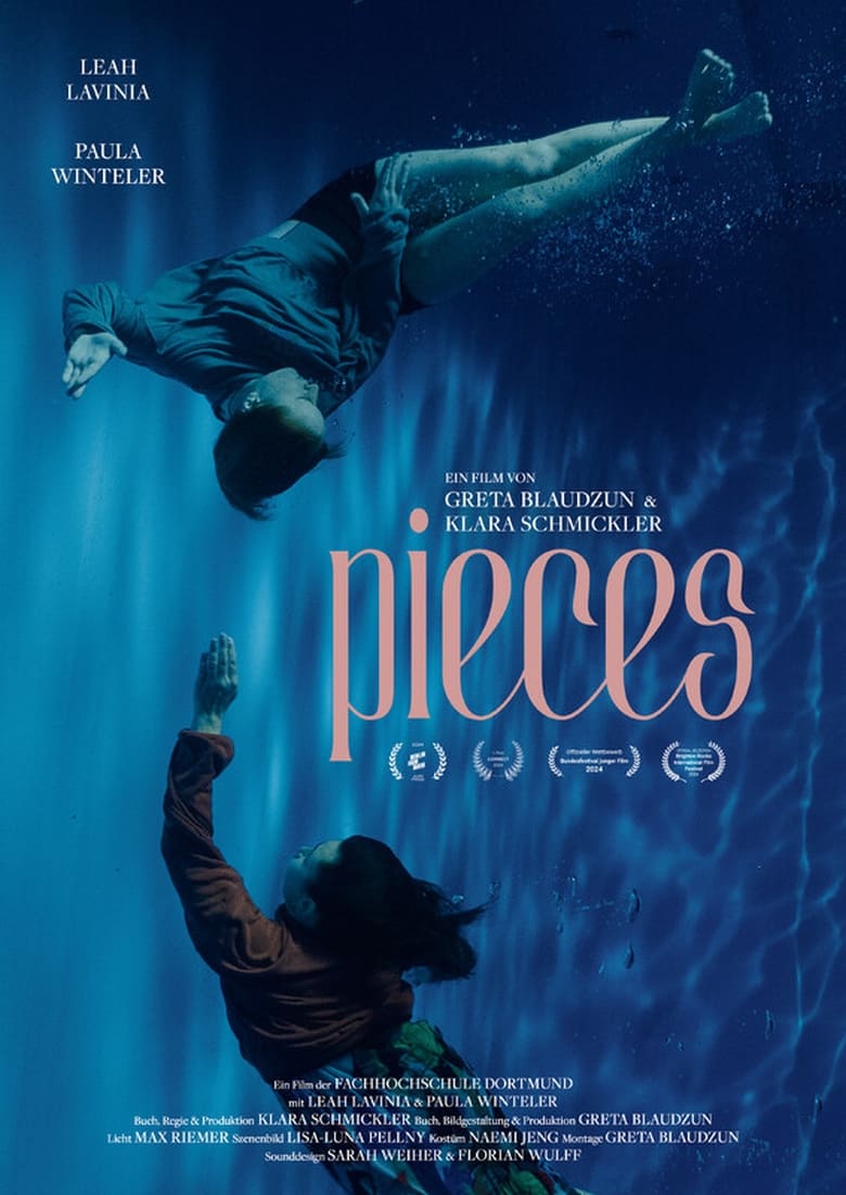 Poster of pieces