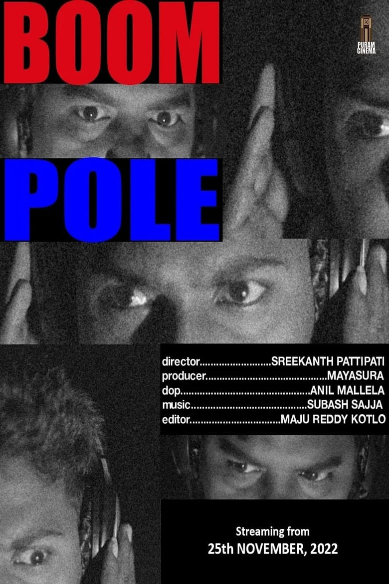 Poster of Boom Pole